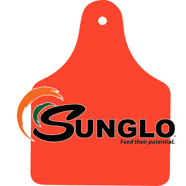Sunglo Show Feeds JAM Feeds